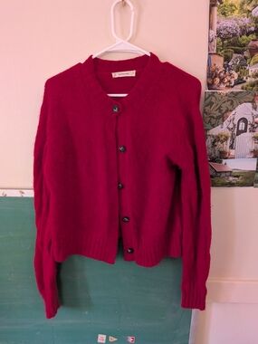 Everlane Red Button-Up Wool Blend Cardigan